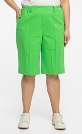 Брюки, шорты, комбинезоны Avila 1016 зеленый