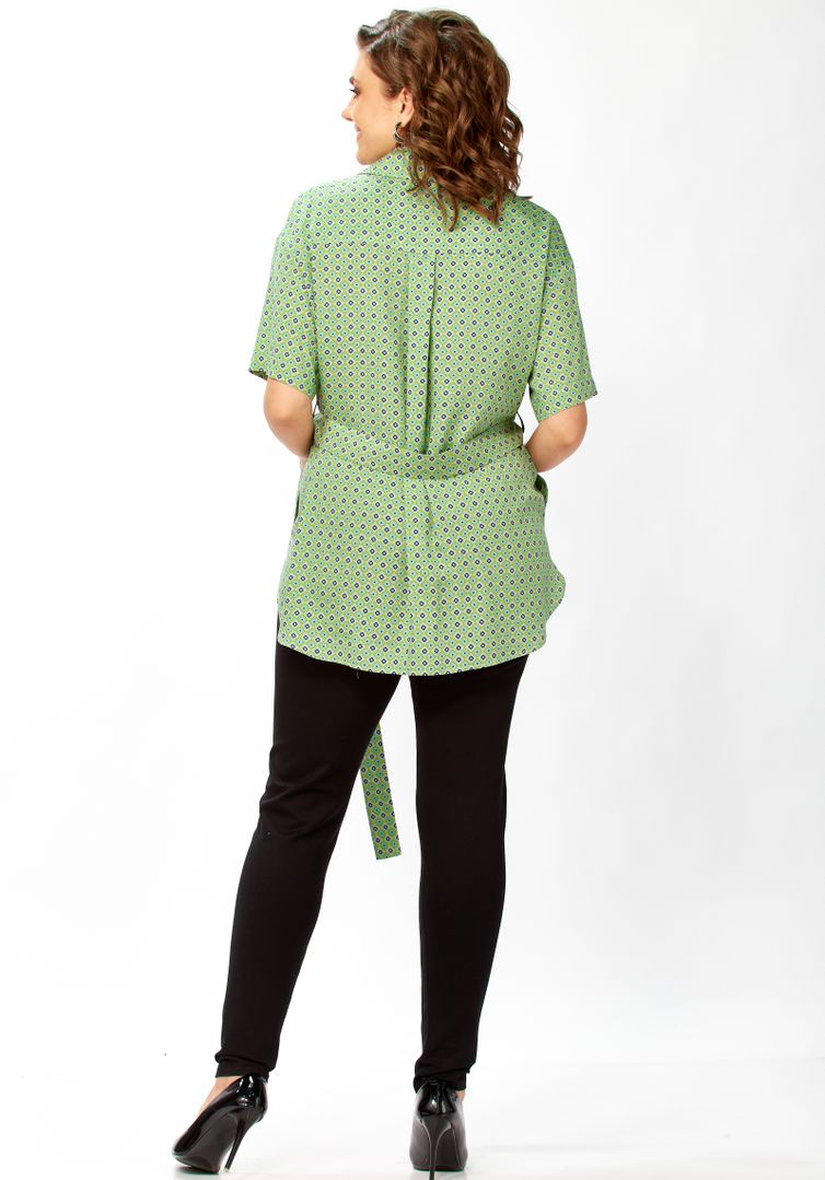 Koszula Avenue #0354