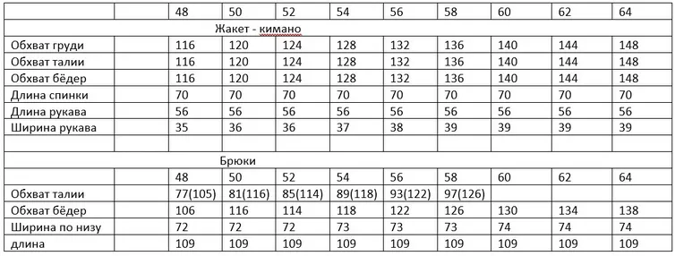 Костюм ANDINA арт. 0928-22