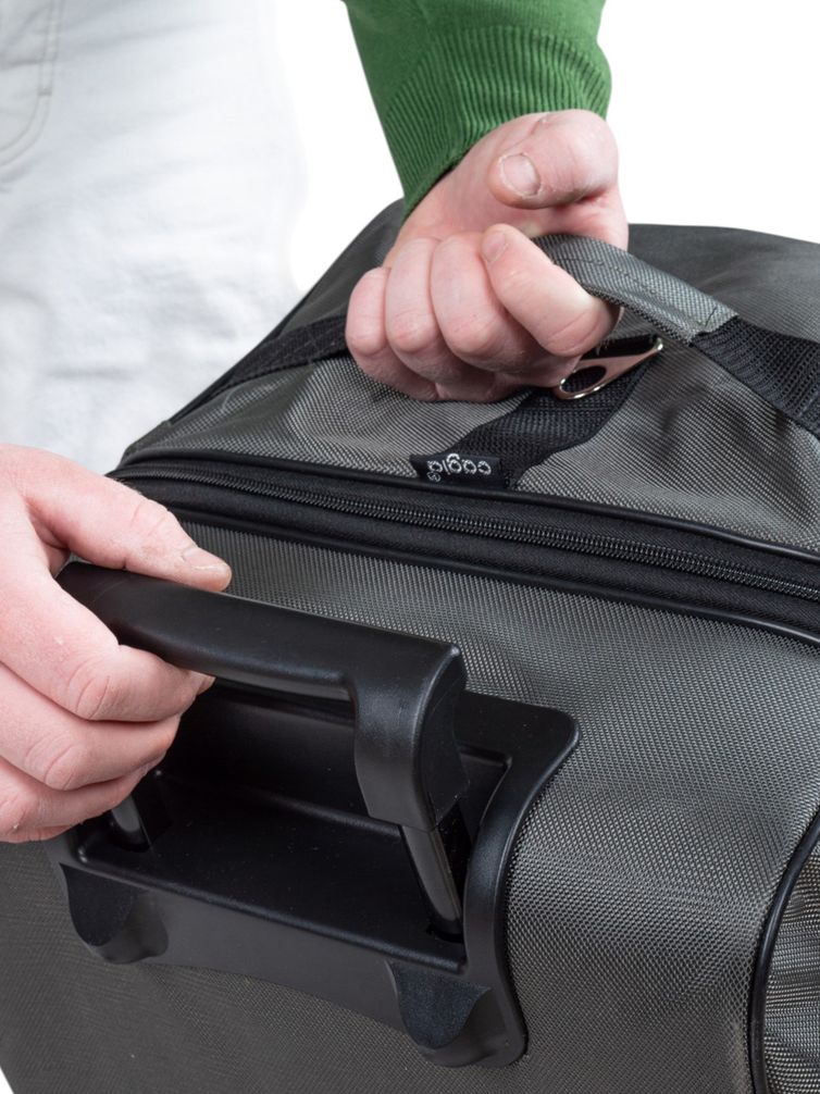 Сумки Cagia арт. 109603