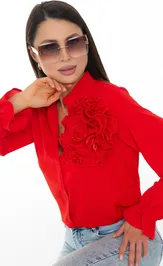 Blouse Diolche B844