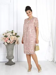 Dress Ninele #7474 temnaya pudr