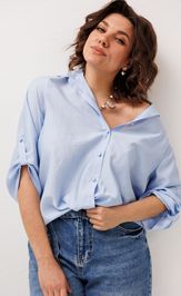 1663.1 голубика