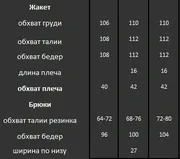 Костюм DOGGI арт. 2878