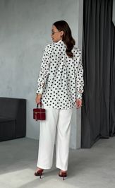 Брюки TND М393