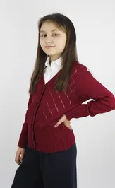 Джемперы POLESIE KIDS С2211-23 3С3188-Д43 бордовая роза