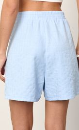 Шорты Jetty 407-20