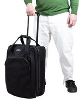 Сумки Cagia 110101