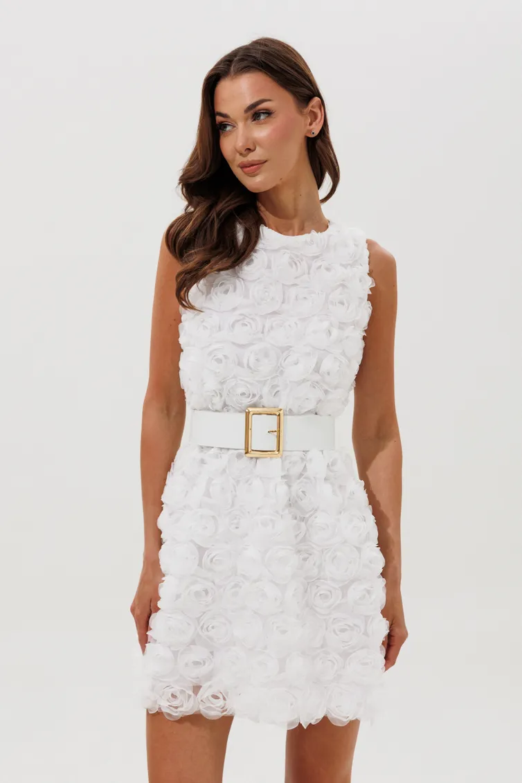 Sukienka V&N fashion #1153_beloe Plate