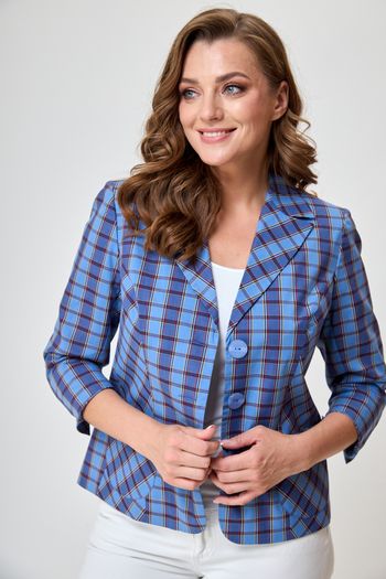 204-163 голубая клетка