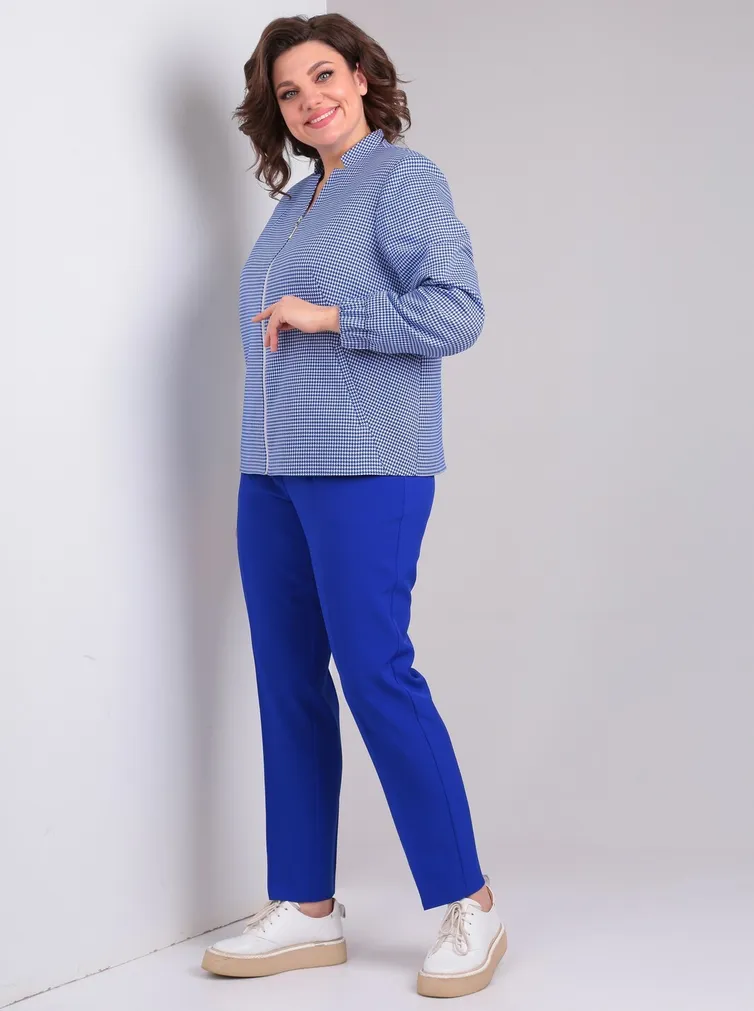 Zestaw Vilena-fashion #984 gusinaya lapka+vasilek