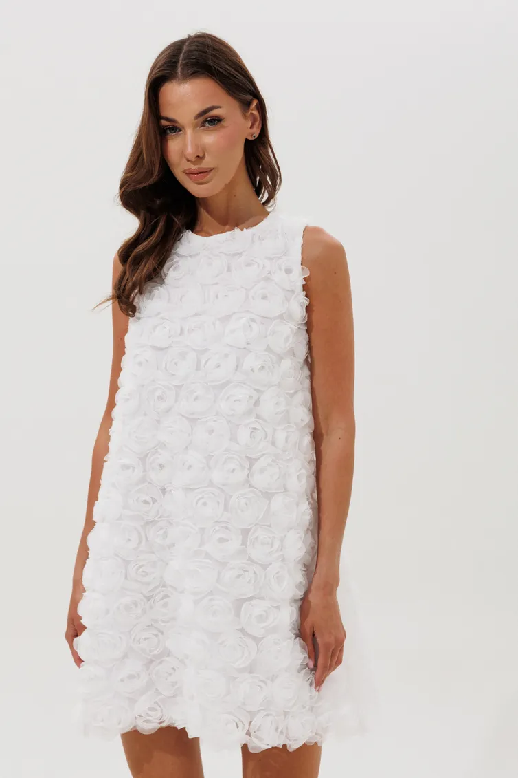 Sukienka V&N fashion #1153_beloe Plate