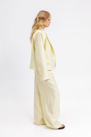 Trousers Pirs #6661 limonnyj