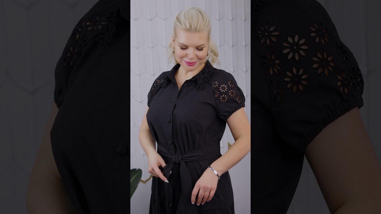 Модель 2693 ASV