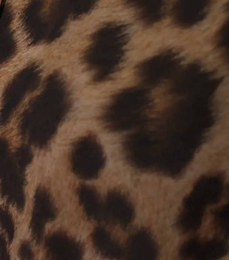Koszula Abbi #4009 leopard