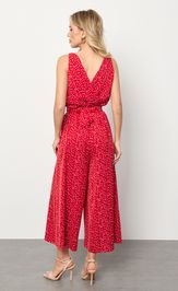 Комбинезон Jetty 577-18