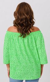 Bluzka Anastasia 1251.1 travyanoj