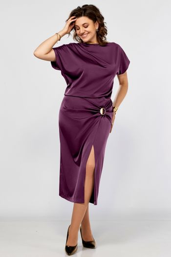 С902 баклажан