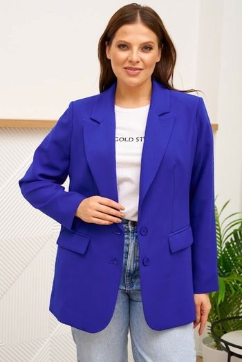 2545-1.1 васильковый = 2633.1 васильковый