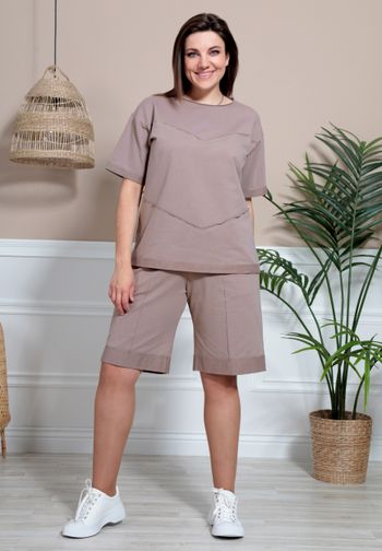 3027 коричневый