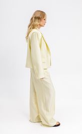Trousers Pirs 6661 limonnyj